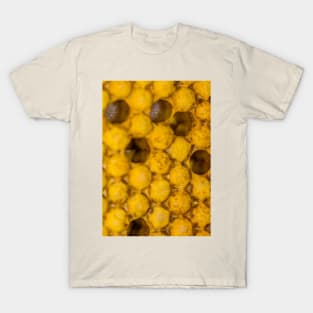 Bee nursery T-Shirt